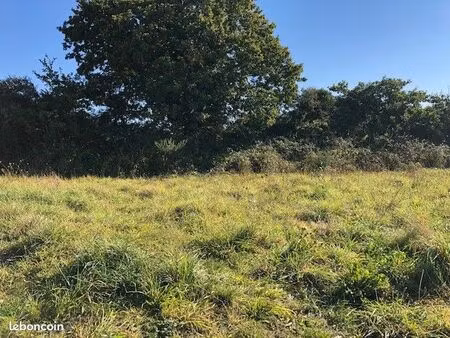 terrain 557 m² dirinon