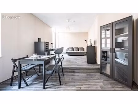 grand studio meublé (avec lave-linge  tv hd  etc...) en centre-ville