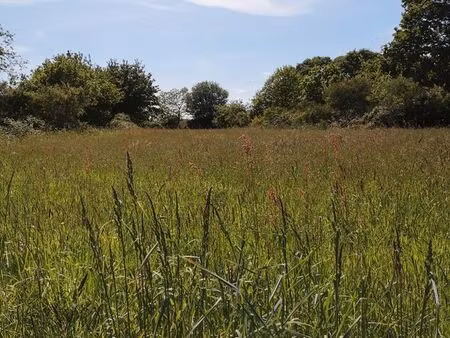 terrain 3000m2 à louer pour éco-paturage