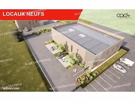 local d'activité 503 m²