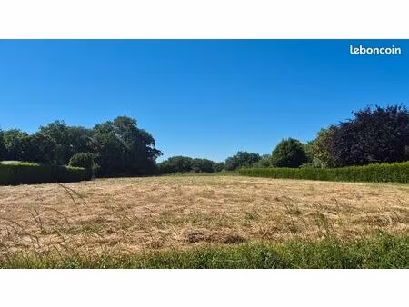 à vendre – terrains à bâtir à puydaniel (31190) – environnement calme et recherché