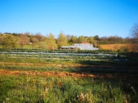 terrain agricole