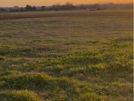 terrain agricole