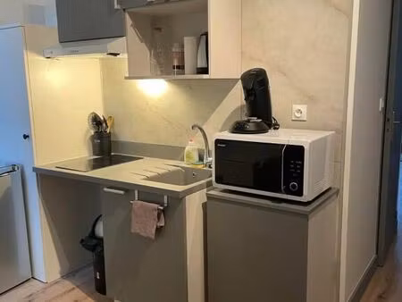 appartement a chinon