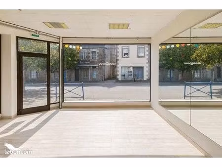 immeuble 168 m² lanmeur