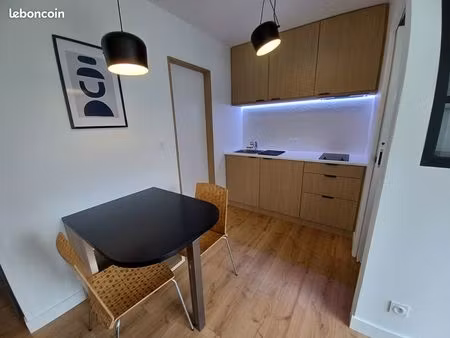 appartement t1 bis intégralement rénové -