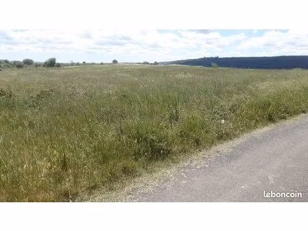 terrain agricole