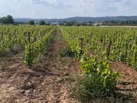 terrain agricole