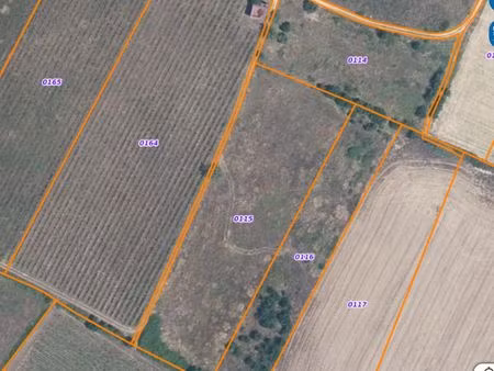vend terrain agricole à saussan