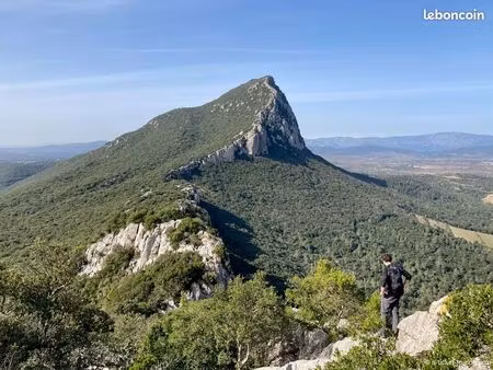 parts de gfv - pic saint loup