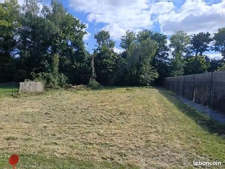 terrain constructible