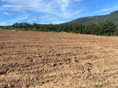 terrain agricole 6000m2