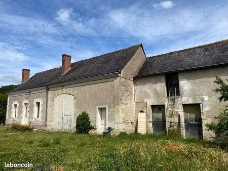 maison vigneronne avec fort potentiel – noizay