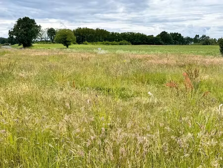 vente terrain 4000 m² à saint-antoine-cumond (24410)  36 000 €