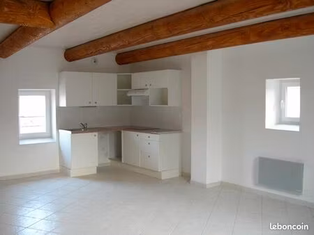 splendide duplex rénové  climatisé  t4  81 m2  centre ville