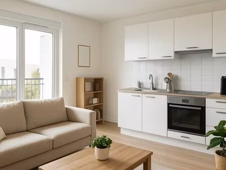 studio 1 pièce 33 m²