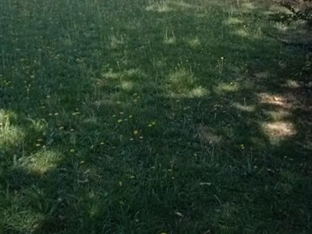 vends terrain constructible