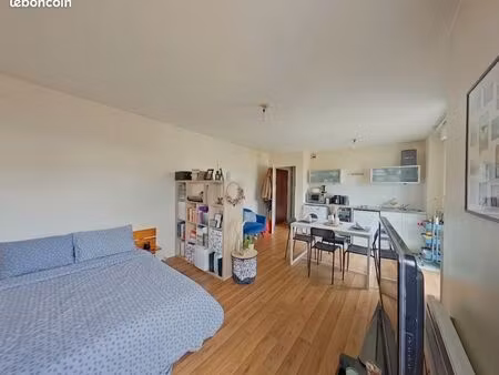 studio 1 pièce 31 m²