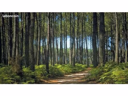 terrain 690 m² pissos