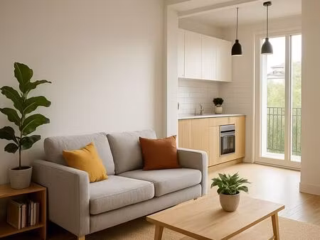 studio 1 pièce 24 m²