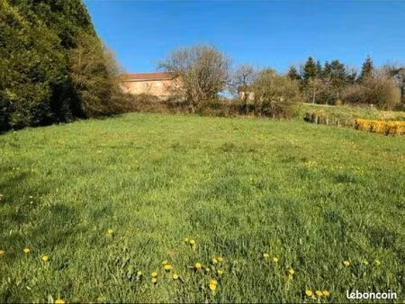 terrain constructible