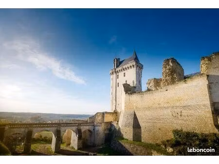chinon – superbe terrain de 1070 m² au calme