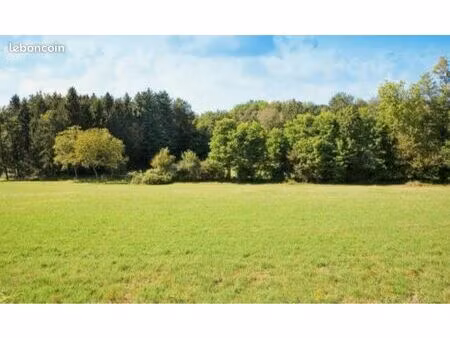 terrain constructible