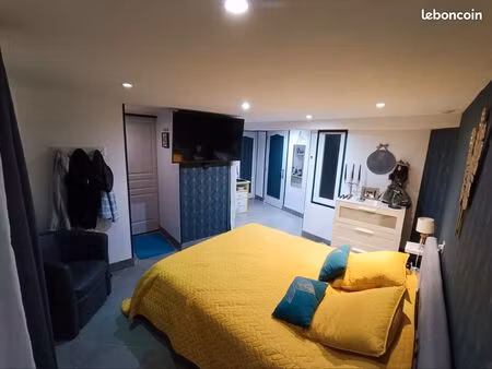 maison 5 chambres + gîtes