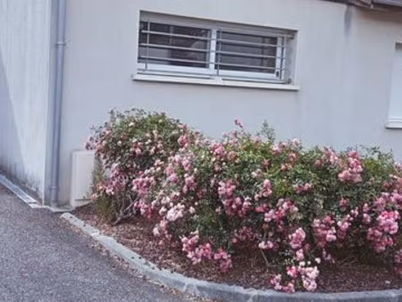 maison à louer miramont de guyenne