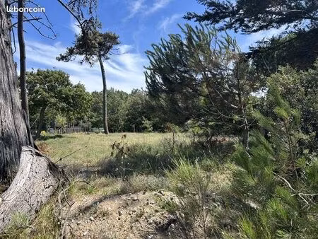 terrain 571 m² soulac-sur-mer