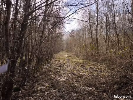 rare  territoire de chasse 28 hectares