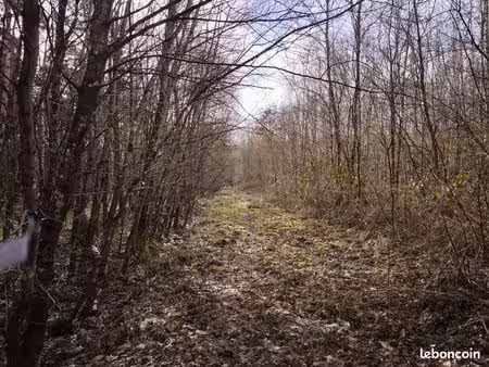 territoire de chasse 28 hectares