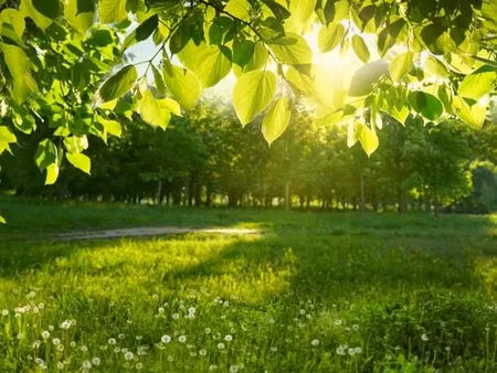 terrain 630 m² gujan mestras