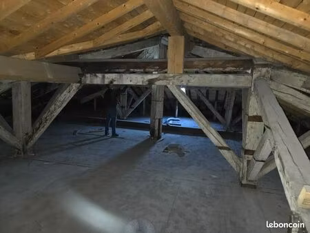 combles aménageables à fort potentiel – 177 m² au sol / 50 m² habitables