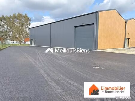 local d'activité 250 m²