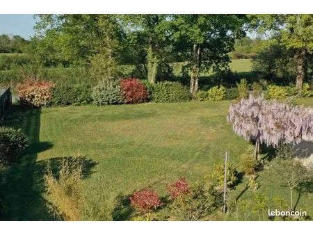 terrain constructible