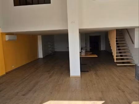 local commercial/professionnel de 265m²
