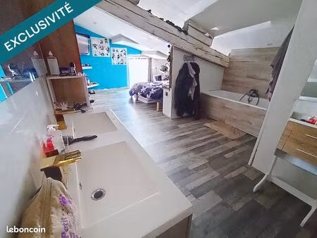 maison 7 pièces 240 m²