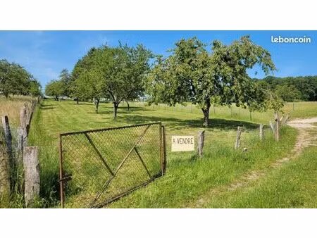 terrain de loisirs - verger