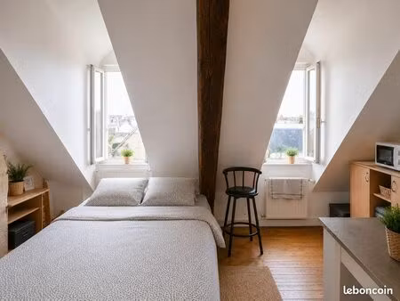studio meublé de charme - hyper-centre tours - 20 m²