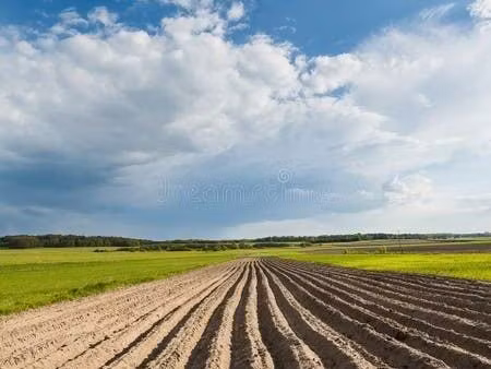 3 parcelles de terrain cultivées pour investissement