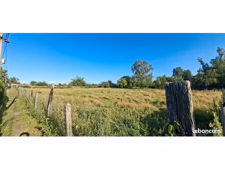 loue terrain / pâture pour chevaux – 1 600 m² – montigny-en-ostrevent