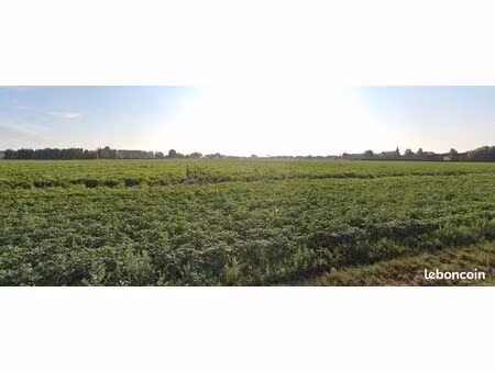 terrain 321 m² raches