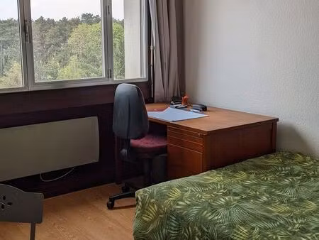 studio meublé