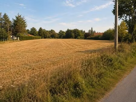 terrain 1000 m² poncins