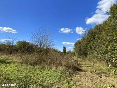 terrain 8 411 m² merville