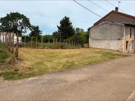 mangiennes