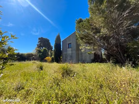 maison avec joli terrain