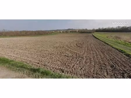 terrain 467 m² witry les reims