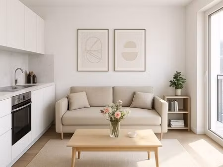 studio 1 pièce 20 m²